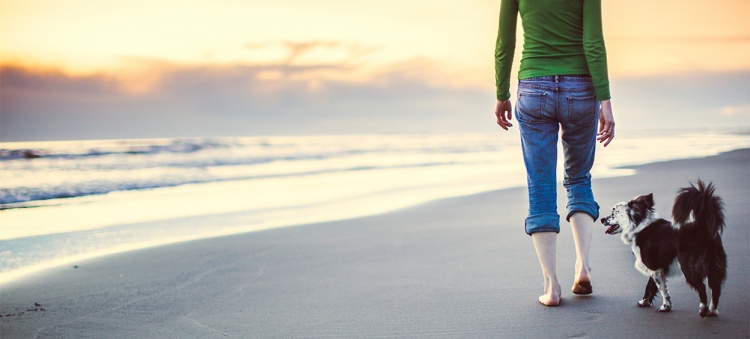 Femme et son chien marche sur la plage